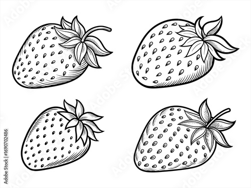 coloring page line art the strawberry black vector bundle