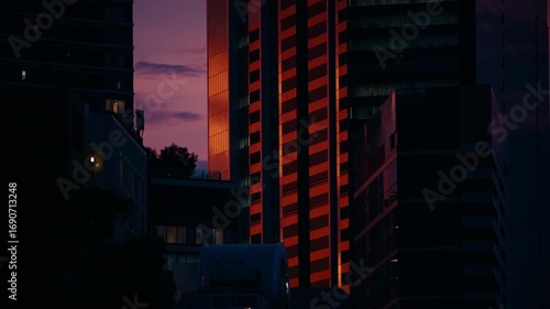 Urban Shibuya Skyline at Sunset – Cinematic glow across Tokyo architecture.