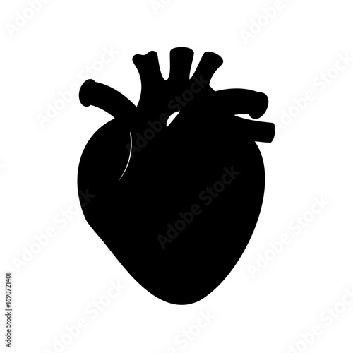 Black silhouette of human heart anatomy showing ventricles and atrium medical illustration