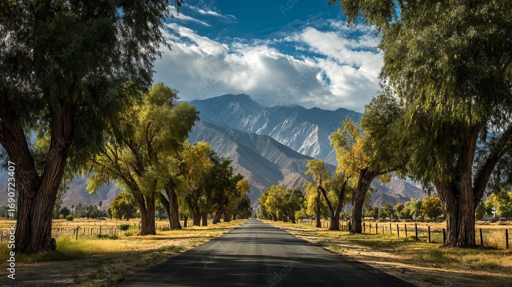Obraz premium Scenic tree-lined road leads to majestic mountains under a dramatic sky