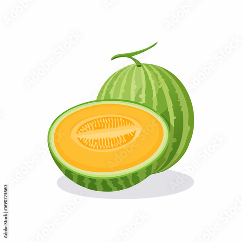 Fresh ripe whole and sliced cantaloupe melon fruit illustration. Juicy orange pulp with seeds, isolated flat vector design on a white background