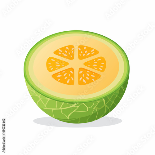 Half a Cantaloupe A Fresh and Healthy Vector Illustration for Food and Nutrition Concepts