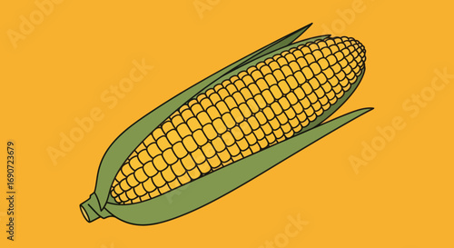 Illustration of a Fresh Ear of Corn with Husk.