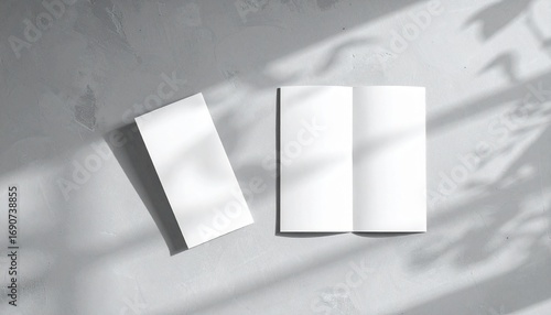 Blank bifold brochure mockup, open and closed, on a grey concrete surface with soft plant shadows from natural light.