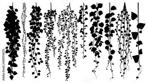 Isolated on white is a cartoon creeper silhouette design element. Black-shaped clipart set of jungle plants. Ideal for cricut design one-color silk screen printing 