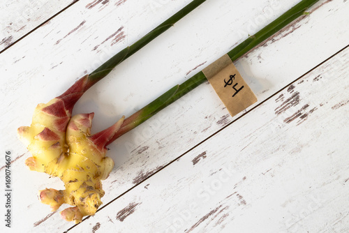 Fresh ginger from the farmers market with price tag