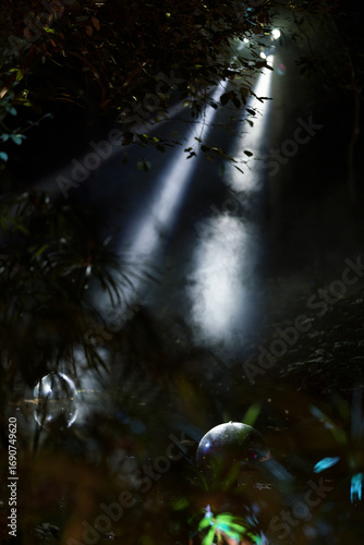 rays of light passing between the branches of the jungle trees