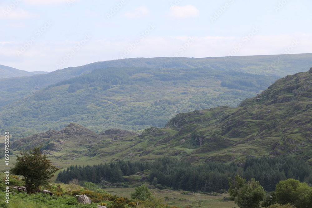 Fototapeta premium Le Parc National de Killarney, en Irlande