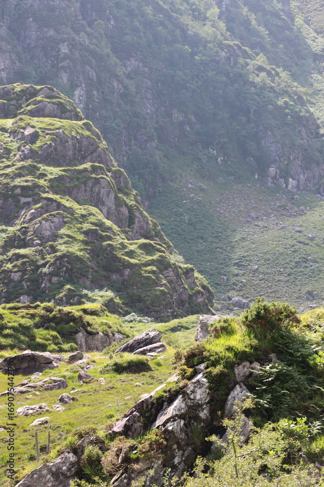 Fototapeta premium Le Parc National de Killarney, en Irlande