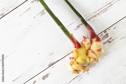 Fresh ginger from the farmers market with stem intact.