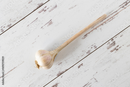 Garlic, fresh from the farmers market