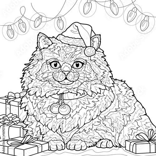 cat with a bag, Christmas cat , new year lantern