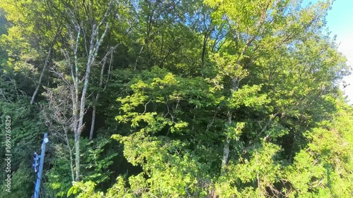 ロープウェイの車窓からの流れる山々の景色