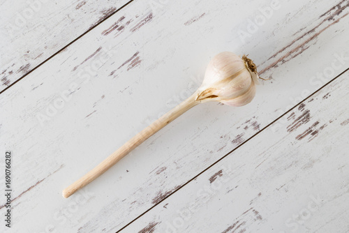 Fresh garlic from farmers market