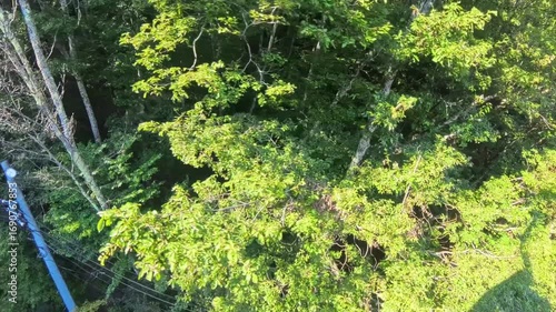 ロープウェイの車窓からの流れる山々の景色