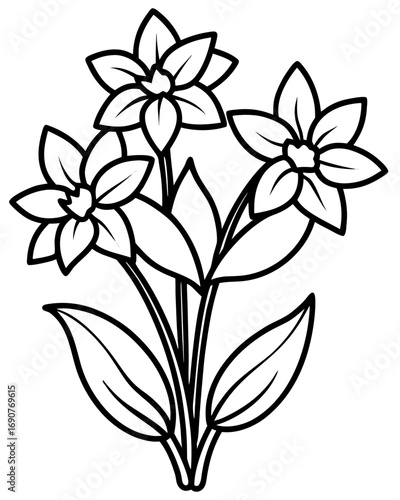 vector illustration of a lily
