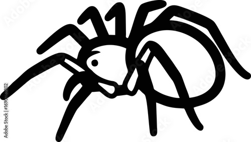 vector illustration of a spider