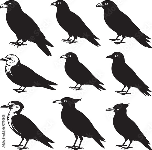 Silhouette Collection Of Various Birds Including Crows And Woodpeckers Keywords: crow, raven, rook