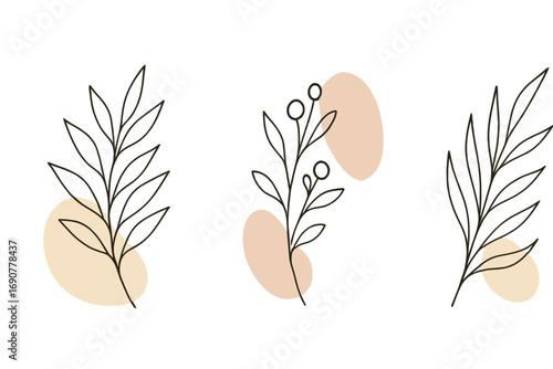 Set of minimalist botanical line art drawings with abstract pastel shapes in a modern boho style featuring leaves and branches