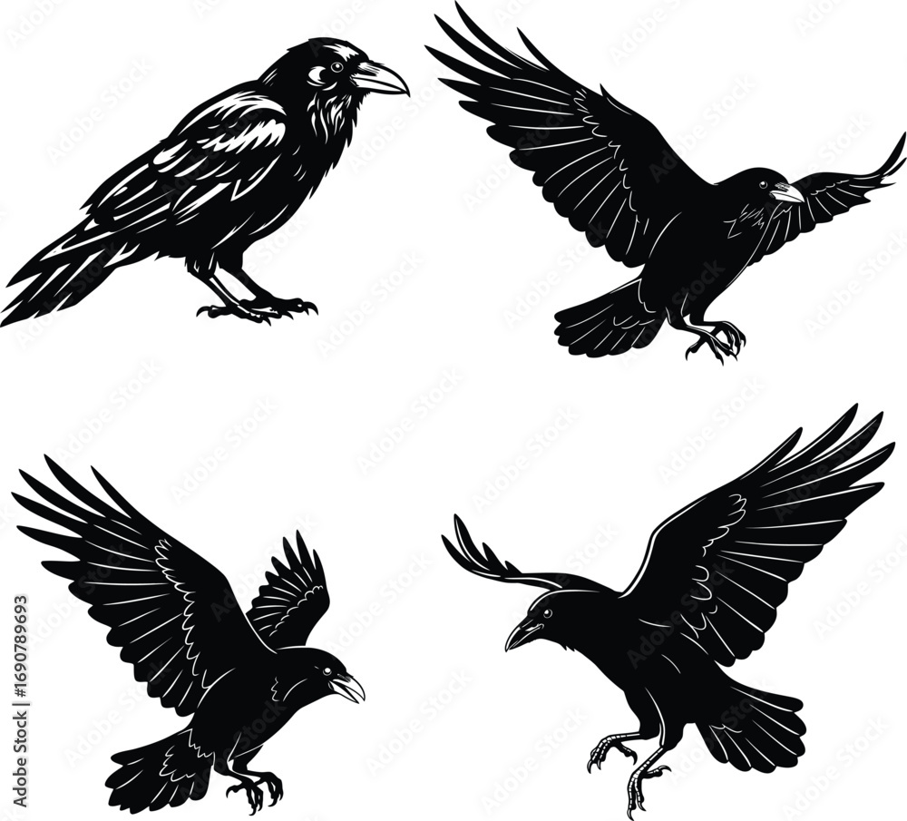 Obraz premium Crow and Raven Silhouettes for Creative Inspiration
