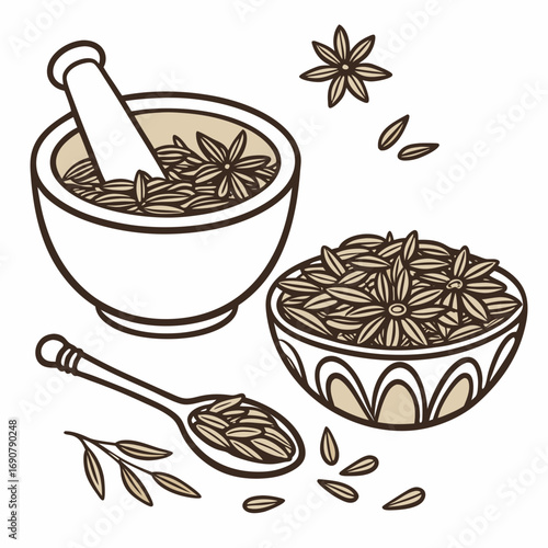 Illustration of star anise seeds in a mortar and pestle bowl and decorative bowl with a spoon and sprig