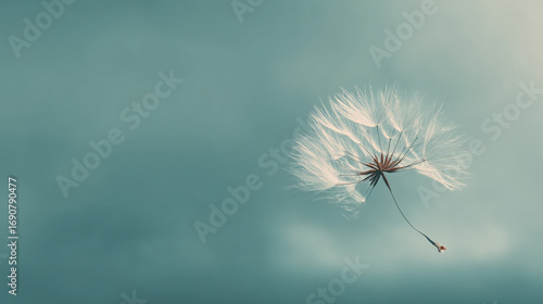 Wallpaper Mural  A single, delicate dandelion seed floating in a vast, empty space. The background is a soft, muted pastel color. Torontodigital.ca