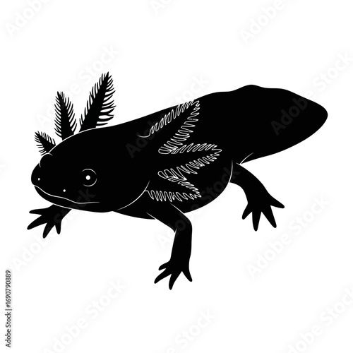 Black axolotl silhouette isolated on white background
