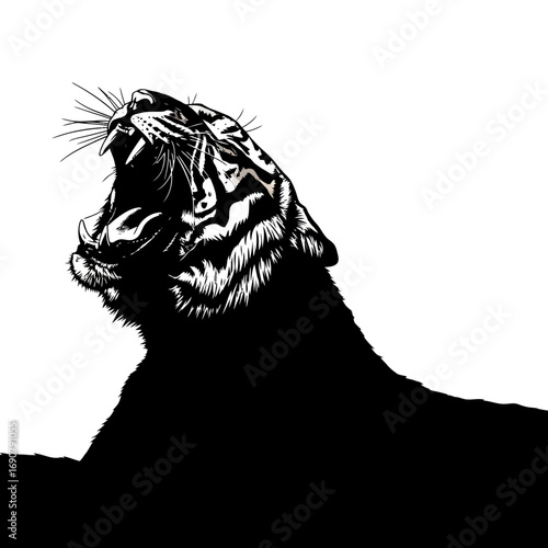 Tiger roaring silhouette isolated on white background