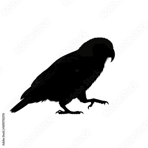 Silhouette of a bird of prey walking isolated on white background silhouette