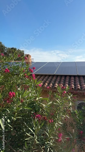 Solar batteries, cell panels or solar electric panels on house roof with Bloom Nerium oleander in Spain. Photovoltaic Solar array system produce clean ecological electricity, Renewable energy. 