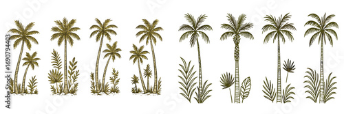 Set of hand-drawn palm trees and tropical plants in vintage engraving and line art styles for botanical design