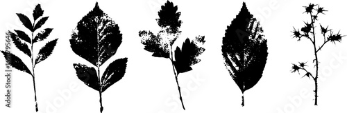 Grunge black and white botanical silhouettes set for art and design projects