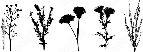 Grunge black and white silhouette set of bare wildflowers for creative design