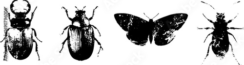 Grunge black and white beetle and butterfly silhouette set for design and decoration