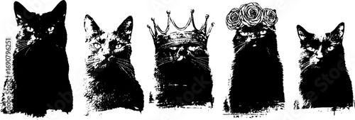 Grunge black and white cat silhouette set with crown and floral elements for creative design