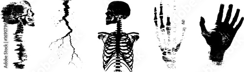Grunge black and white skeleton and handprints illustration set for design