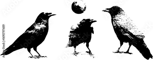 Grunge black and white illustration of crows silhouette set for urban design and posters