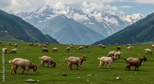 Pastoral Scene: Goats Grazing in Lush Meadow with Snow-Capped Mountains
