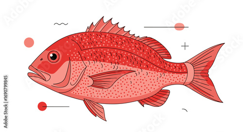 Vibrant red snapper fish illustration capturing the essence of ocean life