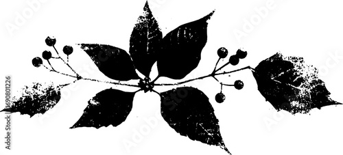 Grunge black and white botanical design featuring distressed leaves and berries for artistic projects