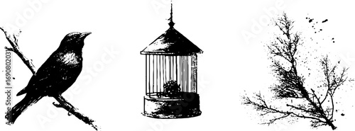 Grunge black and white bird illustration set for artistic design and decoration