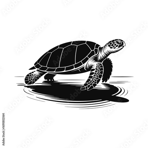 Sea Turtle Silhouette Illustration Swimming in Ocean Water, Marine Life Aquatic Animal Vector