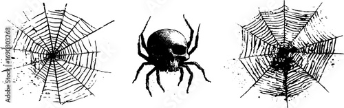 Grunge black and white spider web and skull illustration set for halloween design