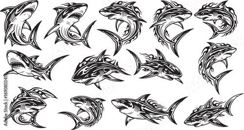 Shark Illustrations Diverse Set of Marine Predators in Stylized Designs