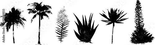 Grunge black and white palm tree and plant silhouette set for urban design