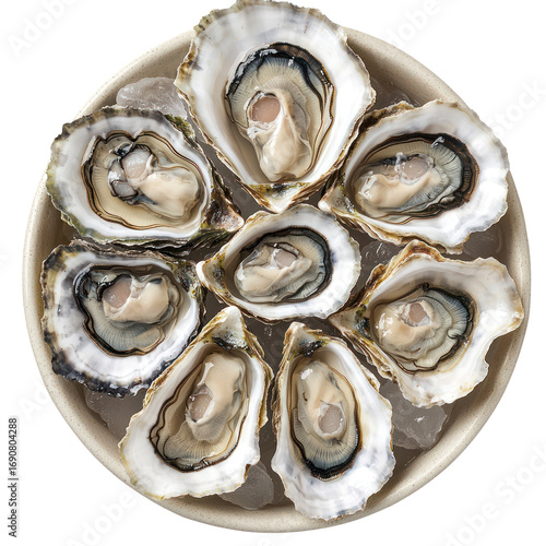 A plate of fresh oysters on a bed of ice.