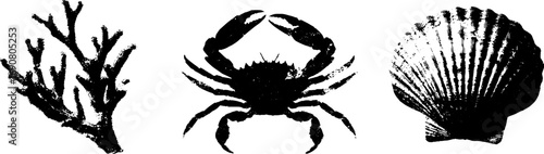 Grunge black and white marine illustrations set featuring crab, coral, and shell for design