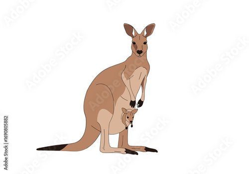 Australian marsupial iconic animal with baby joey in pouch hopping wild