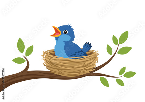 Adorable blue baby bird sings happily while sitting in its nest on a tree branch