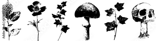 Black and white grunge set featuring floral elements, mushroom, and skull design for art prints